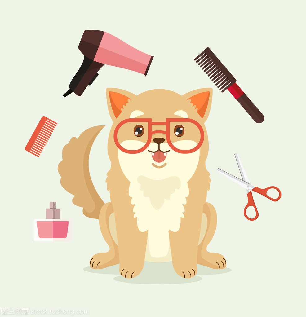 快乐相伴 用正向方法训出活泼犬宠