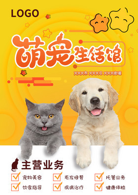 萌宠图鉴 那些融化你心的可爱瞬间