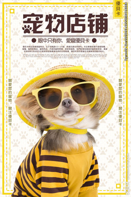 猫咪的微笑 带你领略它的温柔世界